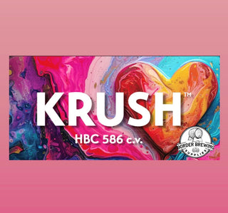 Krush Hops T90 2023 11%AA