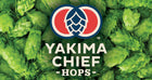 Yakima hops